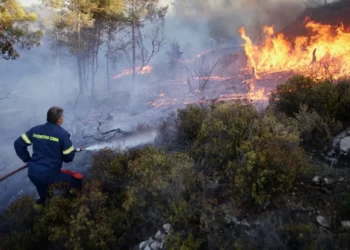 Argelia, Grecia e Italia se ahogan entre el fuego de impresionantes incendios forestales