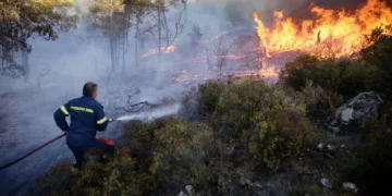 Argelia, Grecia e Italia se ahogan entre el fuego de impresionantes incendios forestales