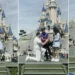 Es viral en redes la interrupción de una propuesta de matrimonio en parque de Disney