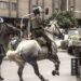 ¡Ya es ley! Quedó prohibido el uso de animales para disuadir protestas en el país