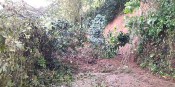 Un hombre de 70 años fue encontrado sin vida bajo un alud de tierra en zona cordillerana