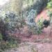 Un hombre de 70 años fue encontrado sin vida bajo un alud de tierra en zona cordillerana