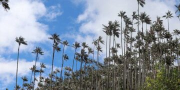 Ley que rinde homenaje a Salento aprobada en cuarto debate en el Senado
