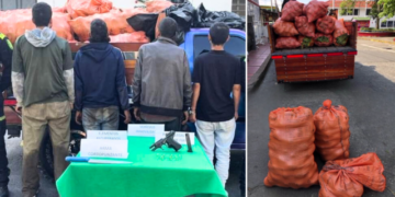 4 hombres fueron capturados en flagrancia robando productos agrícolas en Barcelona, Calarcá