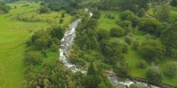 El fenómeno de El Niño no da tregua: riesgos por incendios y baja en el nivel de los ríos