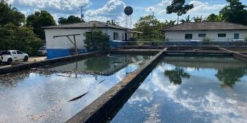 Trabajos de optimización de la Planta de Tratamiento de Montenegro están en un 80 %