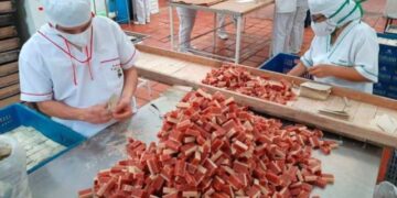 La producción de bocadillo está en riesgo por escasez de agua en Santander