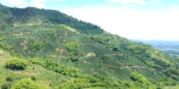 Alerta por estafas en trámites para la titulación de tierras en la Villa del Cacique