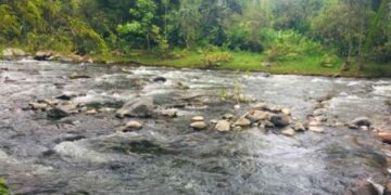 Se registra disminución en los caudales de ríos y quebradas de Salento y Circasia