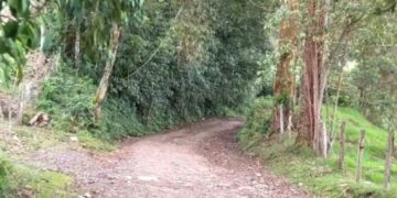 Ordenan la apertura de la vía Salento – vereda Camino Nacional -Tolima