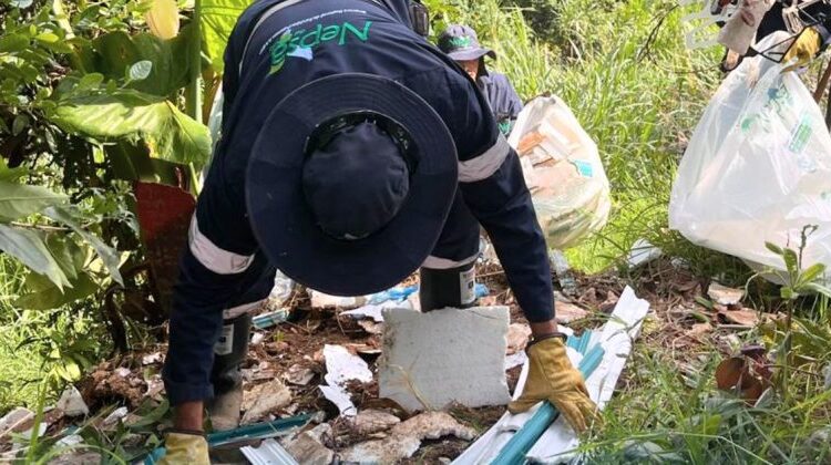 ¡Cultura ciudadana! Limpieza y conservación de las zonas verdes para el disfrute de sus habitantes