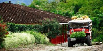 El Quindío refuerza su compromiso legal con la preservación del Paisaje Cultural Cafetero