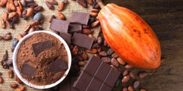 El Quindío se suma a la Red Mundial de Turismo de Cacao para potenciar su comercialización