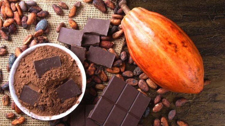 El Quindío se suma a la Red Mundial de Turismo de Cacao para potenciar su comercialización