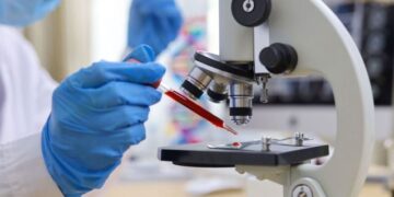 Científicos descubren una prometedora estrategia para erradicar el VIH