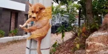 Perrito fue amarrado con cinta a un poste por hacer sus necesidades al frente de una casa