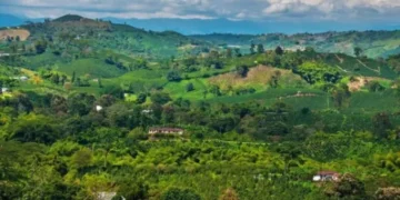 Quindío avanza hacia la inclusión digital con proyectos de conectividad en áreas remotas