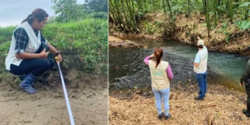 171 denuncias por presuntas afectaciones ambientales se atendieron en el primer trimestre