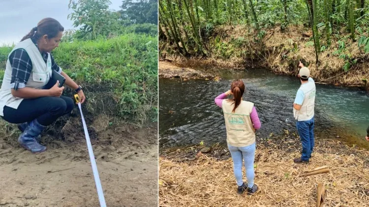 171 denuncias por presuntas afectaciones ambientales se atendieron en el primer trimestre