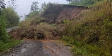 Amenaza por deslizamientos de tierra: los 12 municipios del Quindío están en alerta