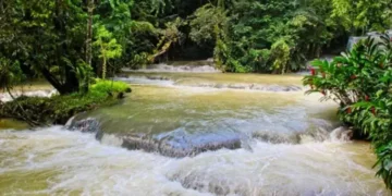 Parte de tranquilidad en las fuentes hídricas: se descarta racionamientos en el Quindío