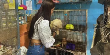 Sanción a un establecimiento comercial de animales en Armenia