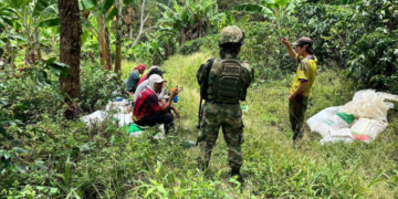 Seguridad en la cosecha cafetera: inicia el Plan Cosecha en el Quindío