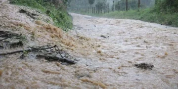 Lluvias desatan emergencias: nueve incidentes en el Quindío