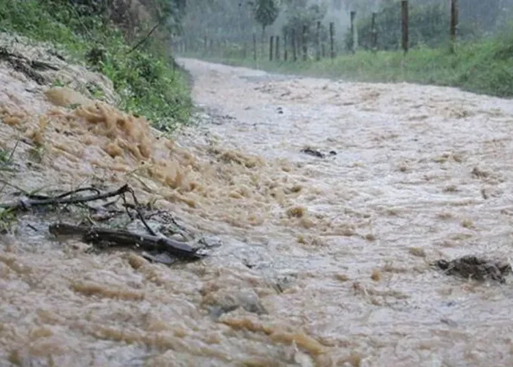 Lluvias desatan emergencias: nueve incidentes en el Quindío