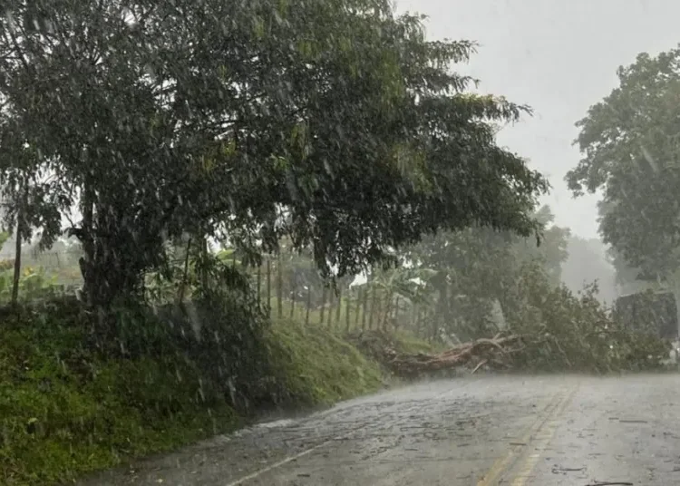 Quindío en alerta ante el fenómeno de La Niña