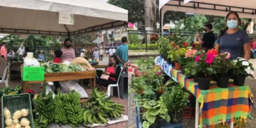 Talento local será exhibido en la Feria Artesanal y de Emprendimiento del Quindío