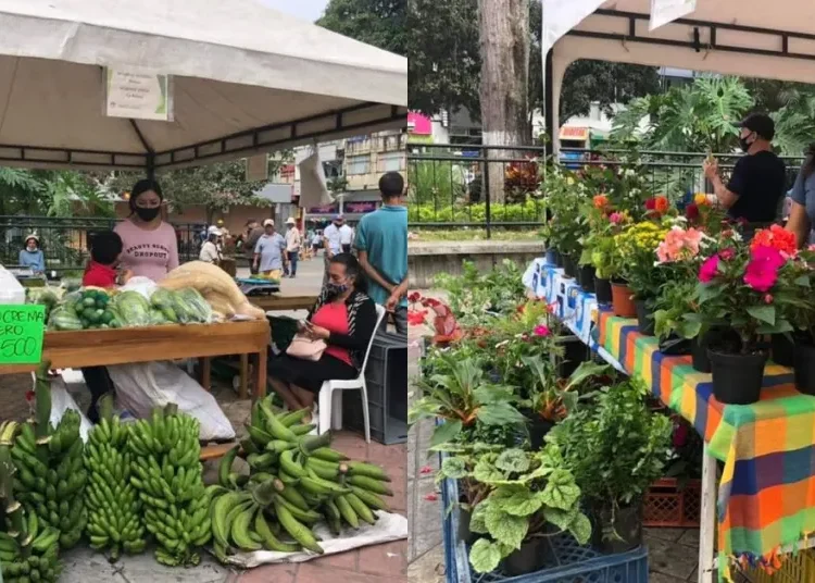 Talento local será exhibido en la Feria Artesanal y de Emprendimiento del Quindío