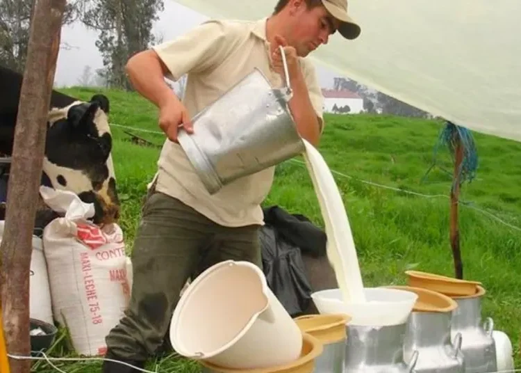 Alertan crisis en la producción de leche por decisión de grandes compañías de comprar menos