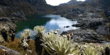 Colombia triunfa con prohibición de minería en el Páramo de Santurbán