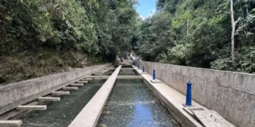 Se ejecutarán 28 proyectos de agua y saneamiento en el Quindío