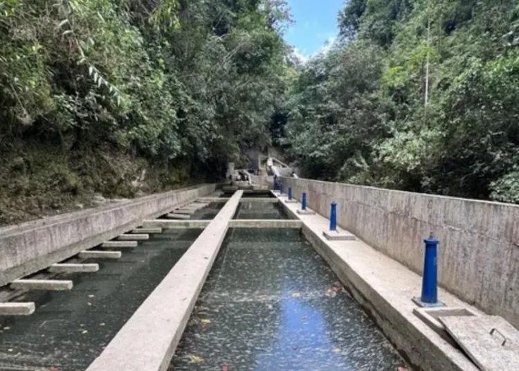 Se ejecutarán 28 proyectos de agua y saneamiento en el Quindío