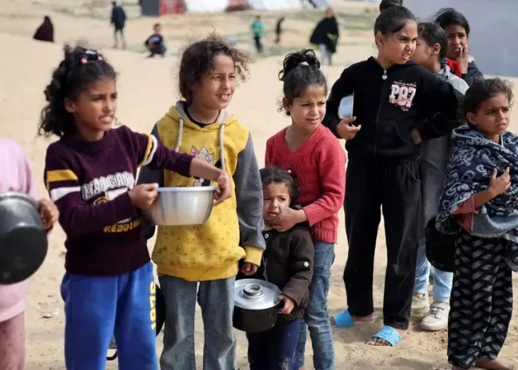 Compromiso internacional: Colombia brindará rehabilitación a niños palestinos