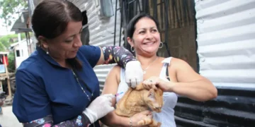 Se intensifica acciones de prevención de enfermedades zoonóticas