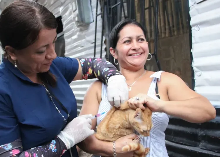 Se intensifica acciones de prevención de enfermedades zoonóticas