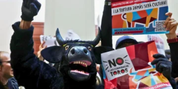 ¡No más olé! Quedan prohibidas las corridas de toros en Colombia