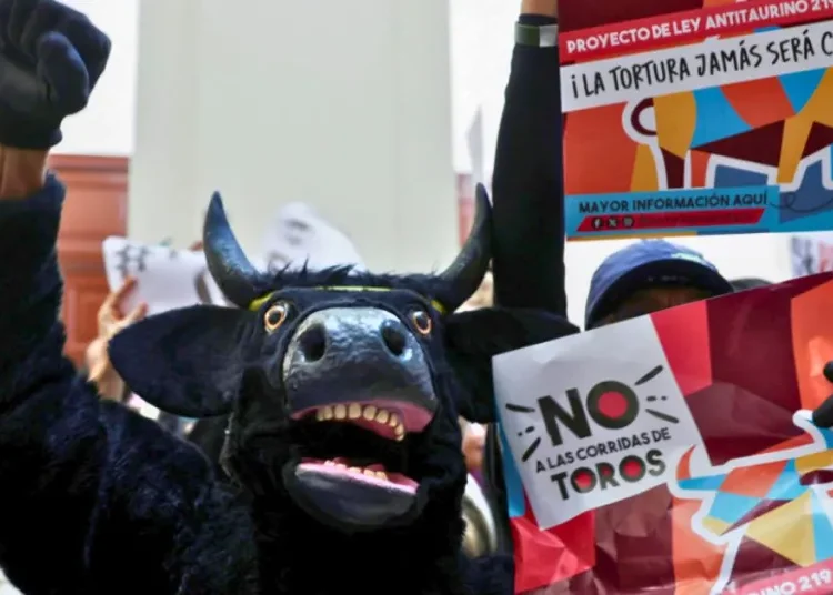 ¡No más olé! Quedan prohibidas las corridas de toros en Colombia