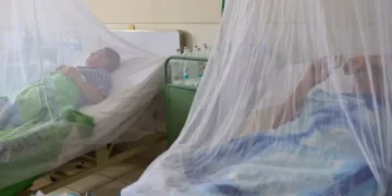 Alerta por dengue en el Quindío: más de 4,000 casos reportados