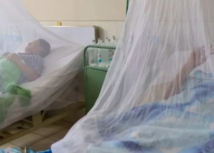 Alerta por dengue en el Quindío: más de 4,000 casos reportados