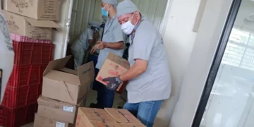 Medidas urgentes tras hallazgo de roedor en bodega del Programa de Alimentación Escolar del Quindío