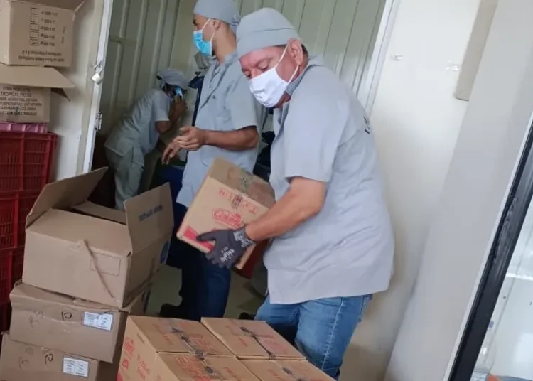 Medidas urgentes tras hallazgo de roedor en bodega del Programa de Alimentación Escolar del Quindío