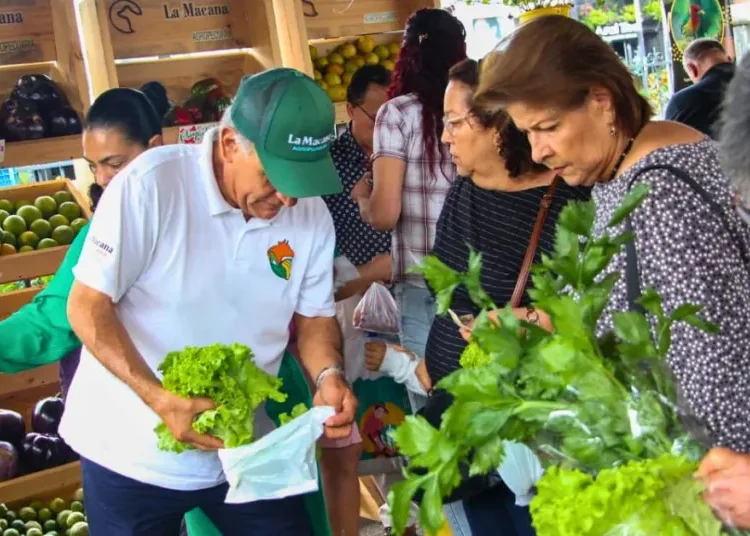 Mercado Campesino en el Parque El Bosque: apoyo a productores locales de alta calidad