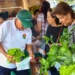 Mercado Campesino en el Parque El Bosque: apoyo a productores locales de alta calidad