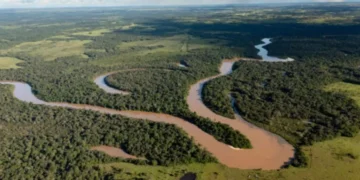 Colombia propondrá un Pacto Mundial para plantar tres millones de árboles en la Amazonía