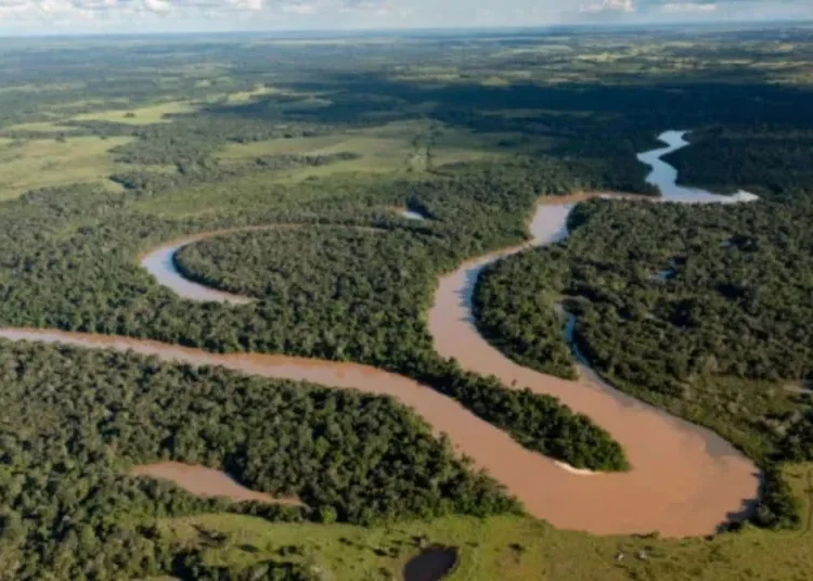 Colombia propondrá un Pacto Mundial para plantar tres millones de árboles en la Amazonía