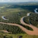 Colombia propondrá un Pacto Mundial para plantar tres millones de árboles en la Amazonía